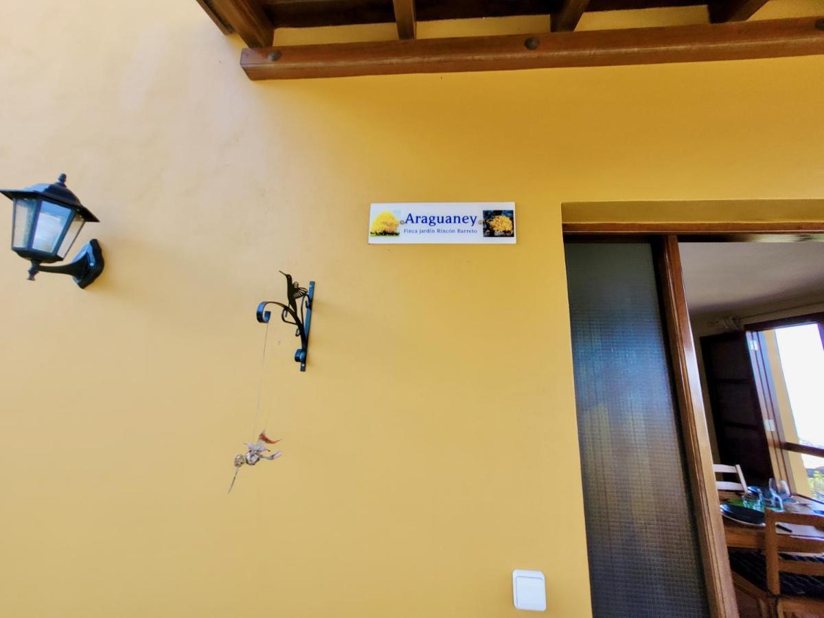 Ferienwohnung Bollullo Sunset - Araguaney La Orotava Exterior foto