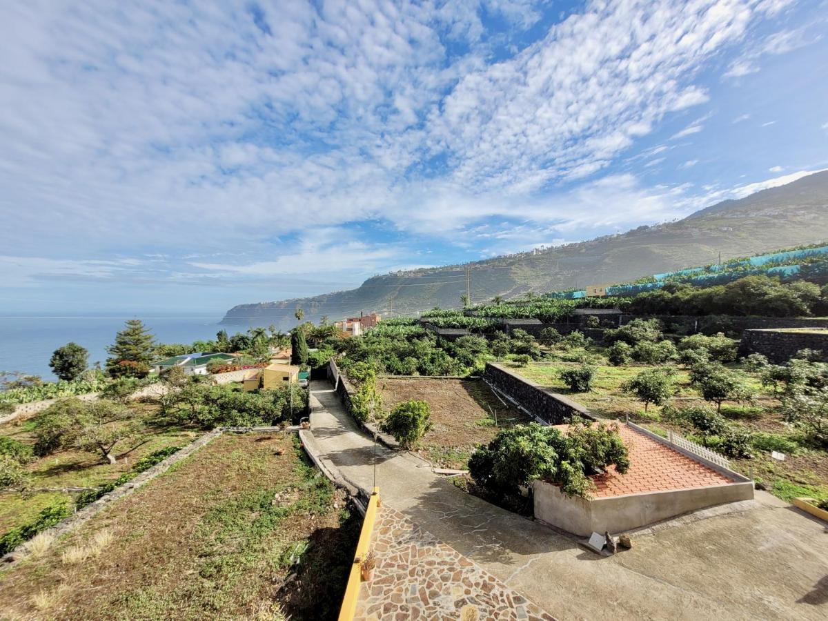 Ferienwohnung Bollullo Sunset - Araguaney La Orotava Exterior foto